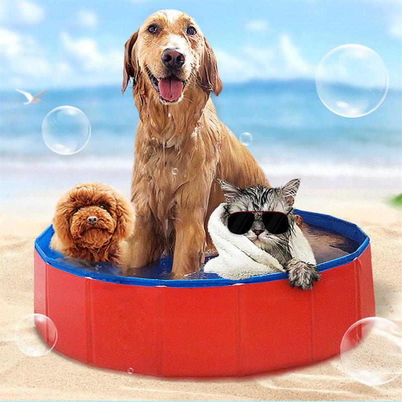 2-farebný Skladací Bazén Pre Domáce Zvieratá So Psom Pre Mačky