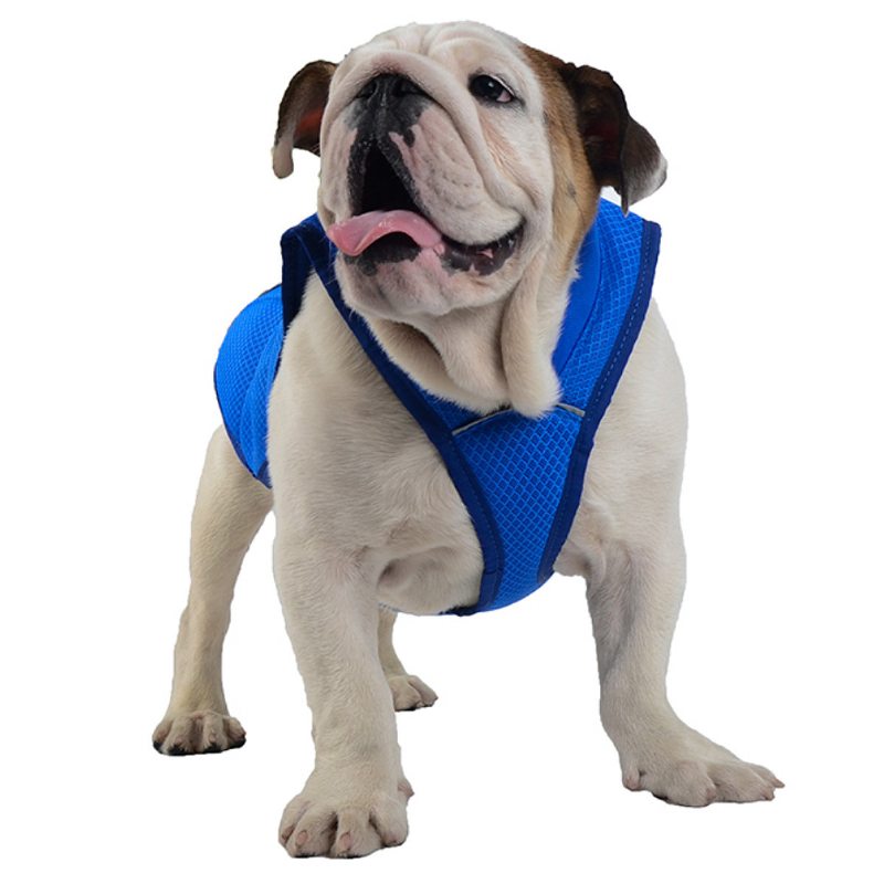 Chladivá Vesta Pre Psa Pet Dog Priedušná Pohodlná Opaľovací Krém S Chladivým Oblečením Bunda Pre Domáce Zvieratá