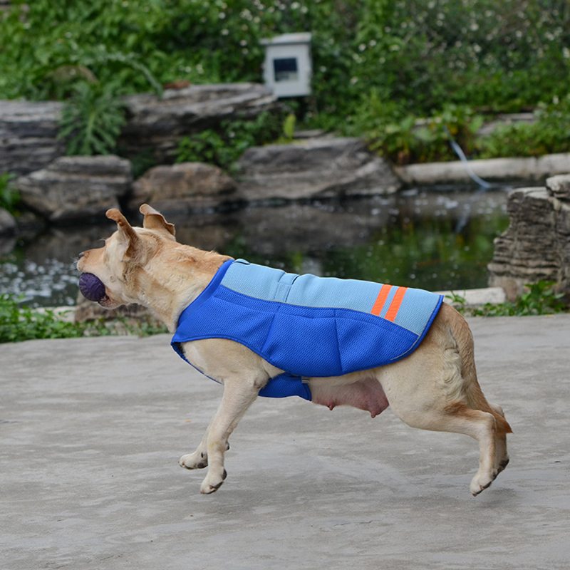 Chladivá Vesta Pre Psa Pet Dog Priedušná Pohodlná Opaľovací Krém S Chladivým Oblečením Bunda Pre Domáce Zvieratá