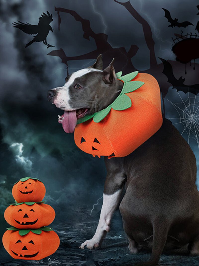 Halloween Tekvicové Psie Šaty Do Multifunkčného Psieho Obojku Pet Cat Party Transformačný Kostým