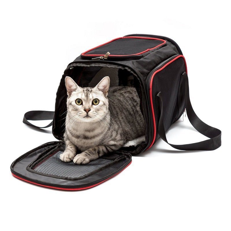 Multifunkčná Priedušná Sieťovinová Cestovná Taška Do Auta Pre Domáce Zvieratá Pre Malé Mačky