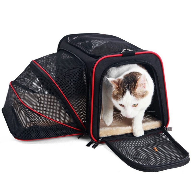 Multifunkčná Priedušná Sieťovinová Cestovná Taška Do Auta Pre Domáce Zvieratá Pre Malé Mačky