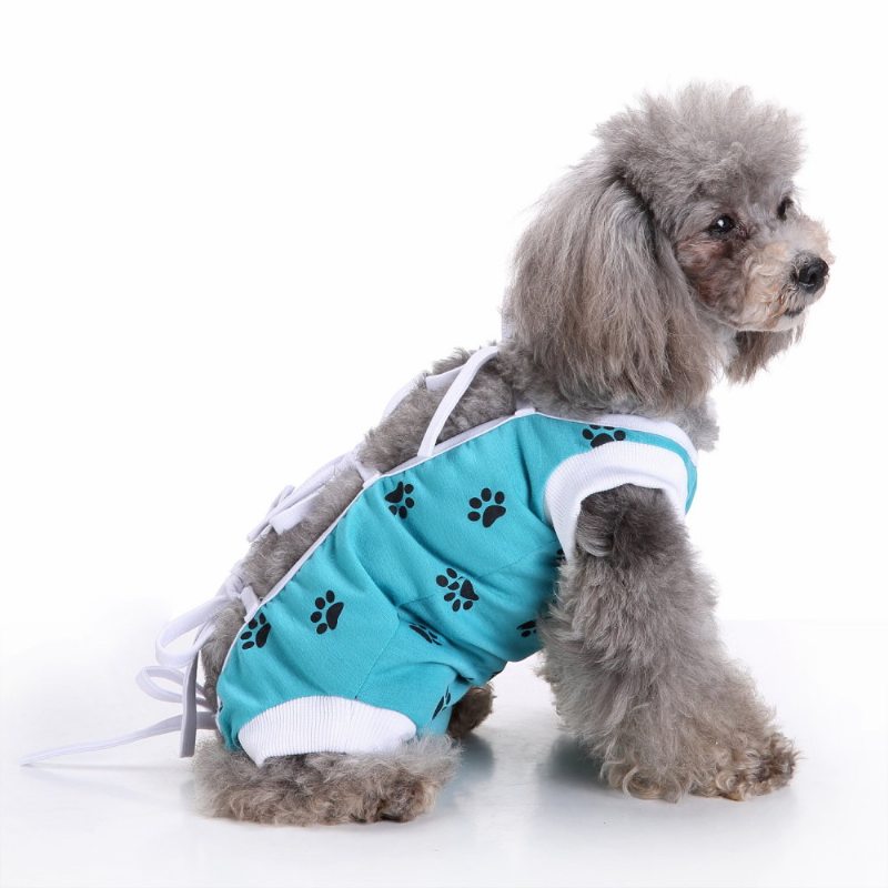 Oblečenie Pre Psov Zdravotná Starostlivosť Na Chirurgiu Psa Pre Pooperačnú Ošetrovateľskú Fyziologická Vesta