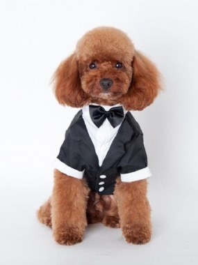 Oblečenie Pre Šteňatá Gentleman Mounted Teddy Pet Kostým Pre Malého Psa Vesta Pre Domáce Zvieratá Tričká