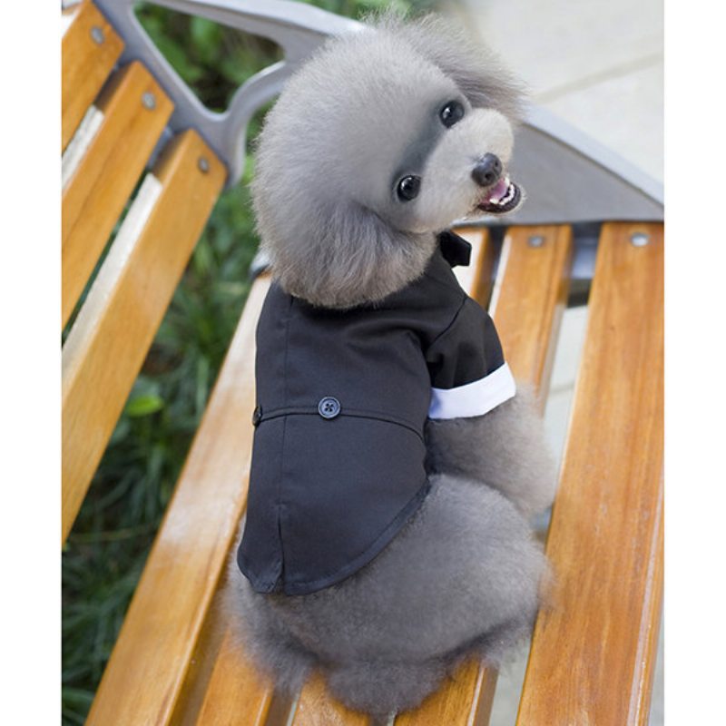 Oblečenie Pre Šteňatá Gentleman Mounted Teddy Pet Kostým Pre Malého Psa Vesta Pre Domáce Zvieratá Tričká