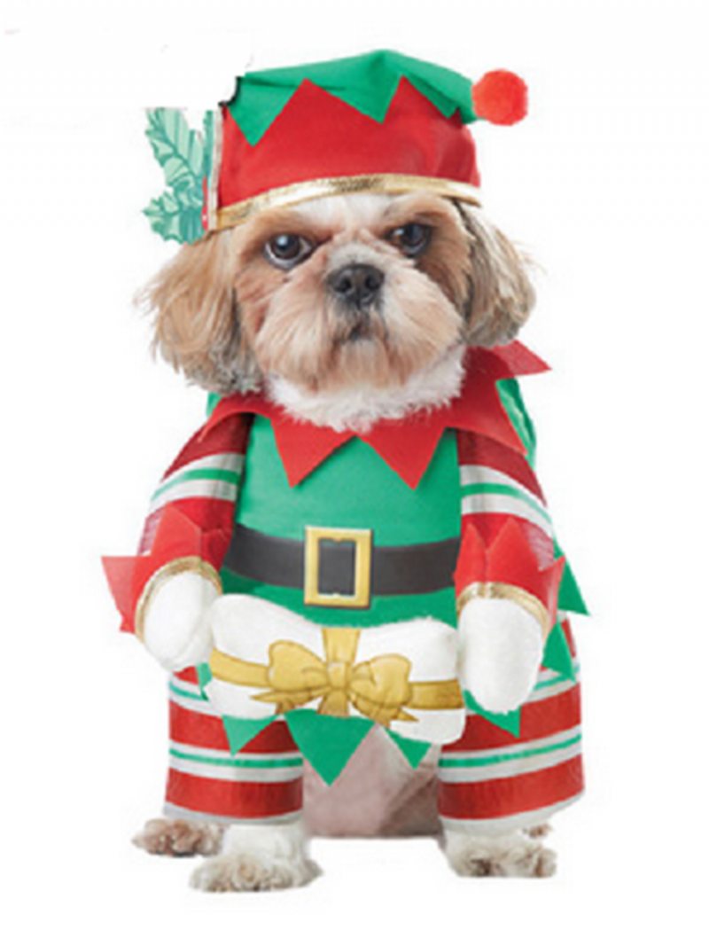 Pes A Mačka Vianočný Oblek Santa Claus Obliekanie Party Oblečenie S Klobúkom