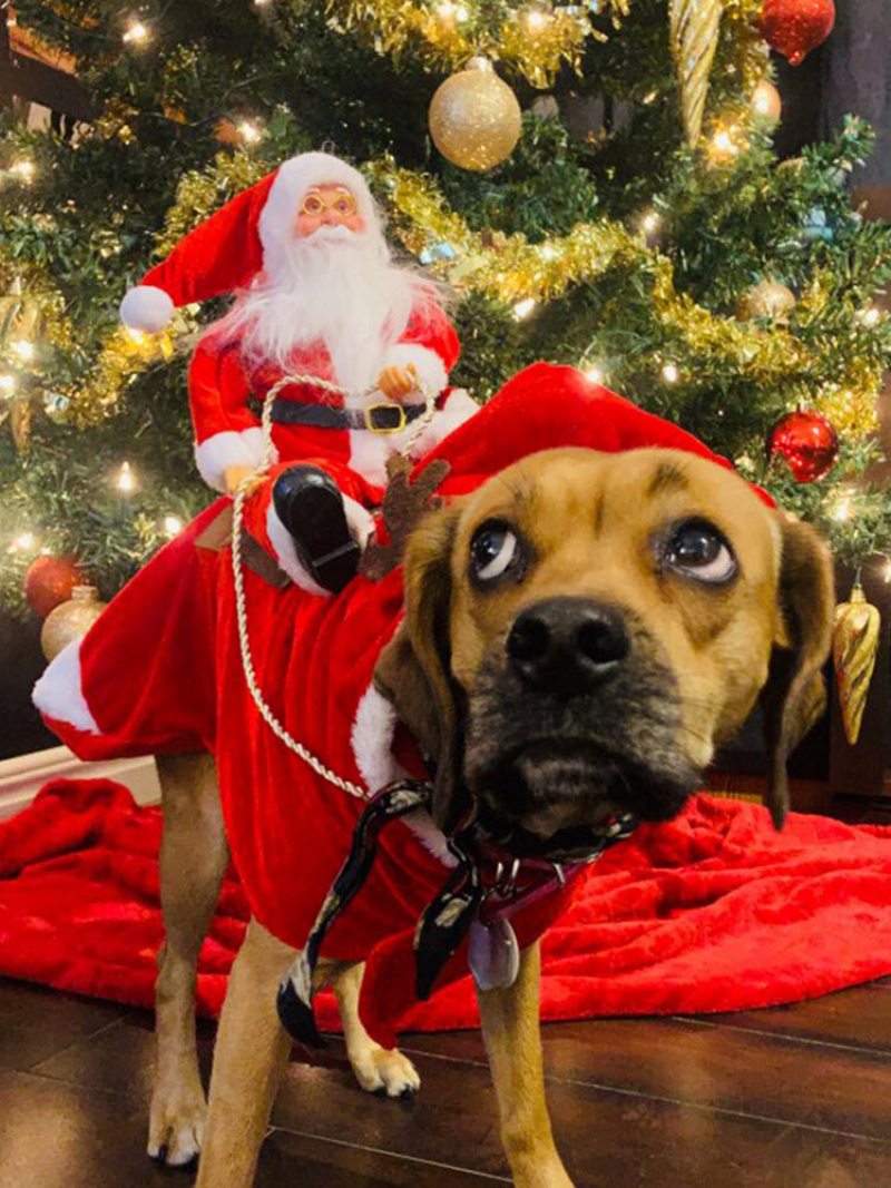 Pes Vianočný Kostým Santa Claus Na Koni Oblečenie Pre Domáce Zviera Na Na Jazdu Na Jeleňa