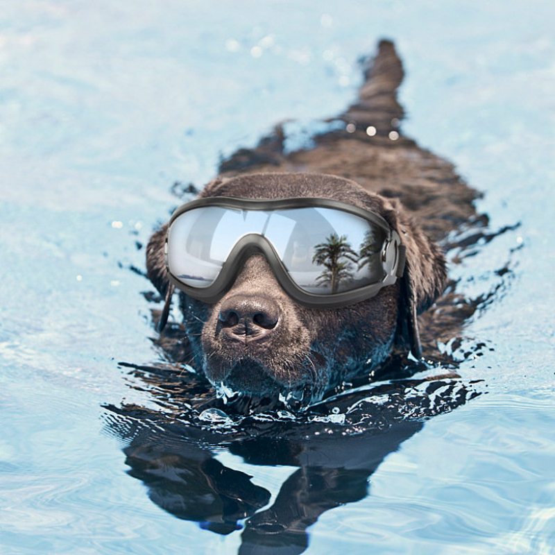 Pet Dog Vetruodolné Vodotesné Okuliare Slnečné Pre Stredne Veľké Psy
