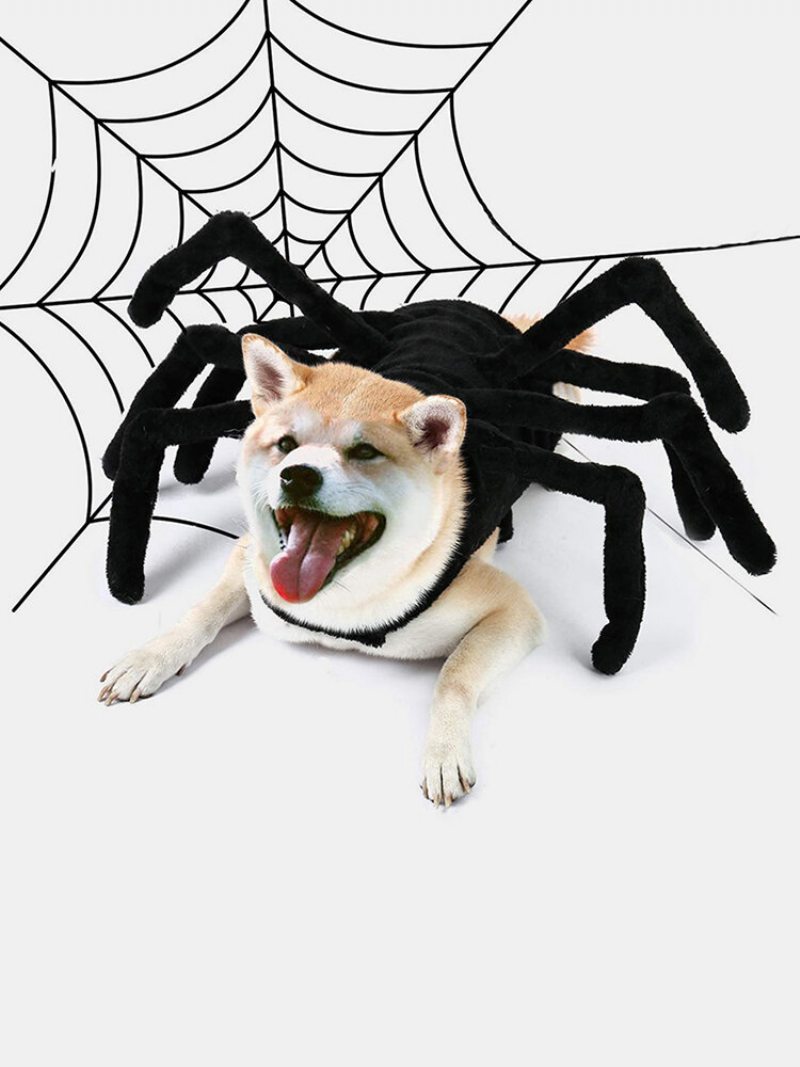 Pet Halloween Funny Spider Hrudník Kreatívny Kostým Mačka Dog Malý Pes Transformácia