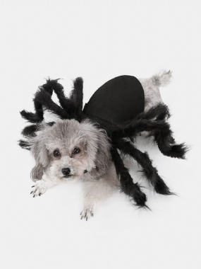 Pet Halloween Funny Spider Oblečenie Mačka Pes Hororová Simulácia Plyšové Pavúčie Transformačné Spoločenské Šaty