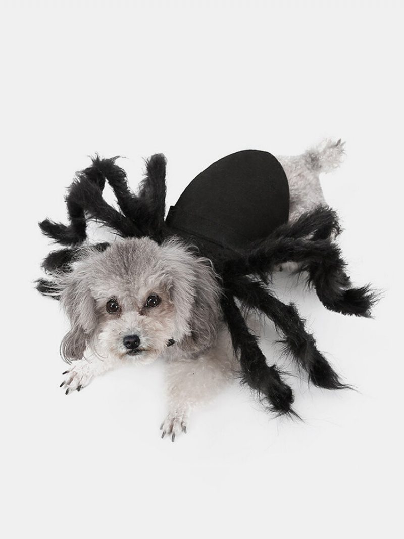 Pet Halloween Funny Spider Oblečenie Mačka Pes Hororová Simulácia Plyšové Pavúčie Transformačné Spoločenské Šaty