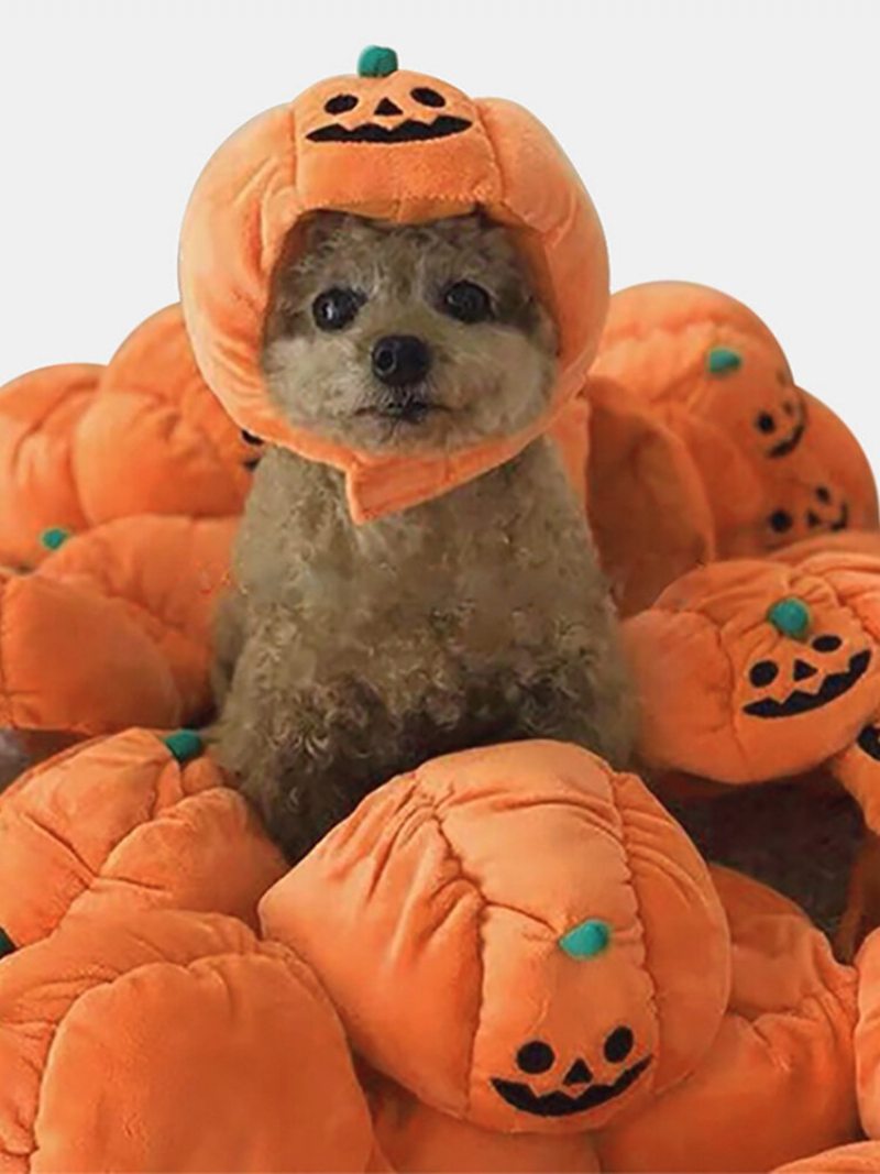 Pet Halloween Tekvica Klobúk Teddy Zdobiť Dog Cat Party Doplnky