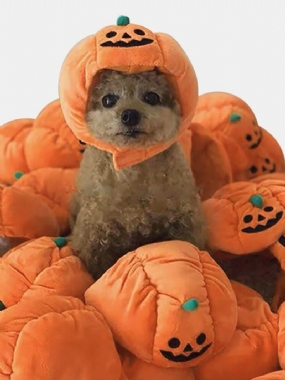 Pet Halloween Tekvica Klobúk Teddy Zdobiť Dog Cat Party Doplnky