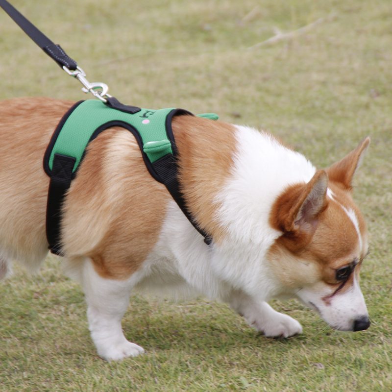 Roztomilá Žabka Náprsný Popruh Corgi Fight Trakčná Vesta Pre Domácich Miláčikov