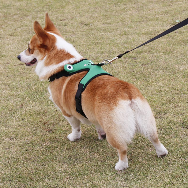 Roztomilá Žabka Náprsný Popruh Corgi Fight Trakčná Vesta Pre Domácich Miláčikov