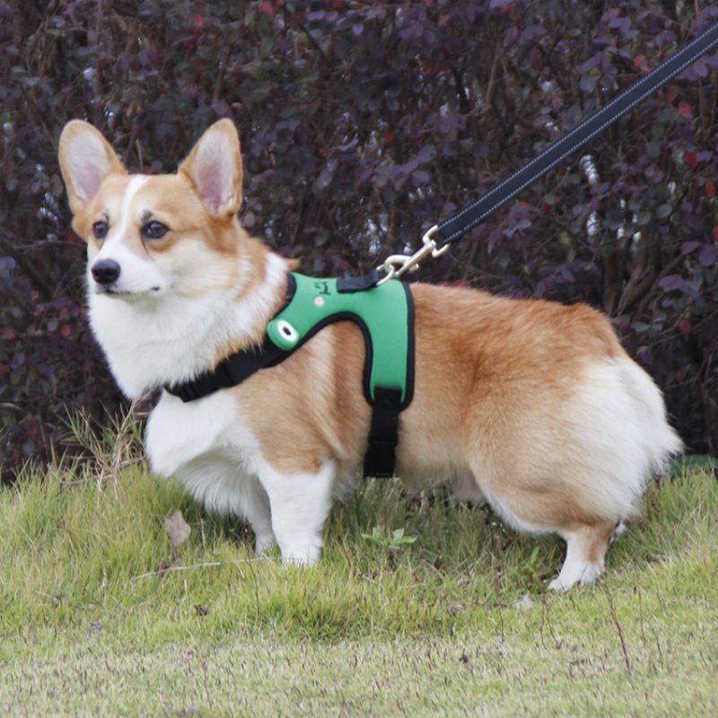 Roztomilá Žabka Náprsný Popruh Corgi Fight Trakčná Vesta Pre Domácich Miláčikov