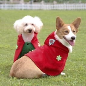 Vianočné Oblečenie Pre Domáce Zvieratá Funny Cospaly Červená Čiapočka Súprava Psíkov