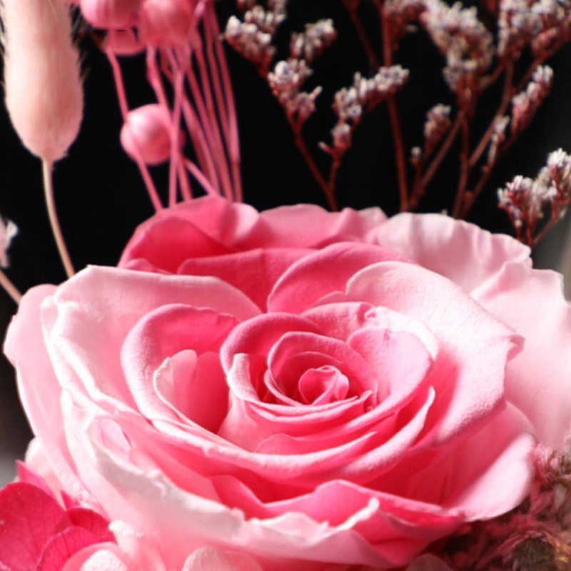 Amyros Konzervovaný Čerstvý Kvet Na Valentína Vianoce Suchá Kytica Ruží Zaváraná V Pohári Konzervovaná