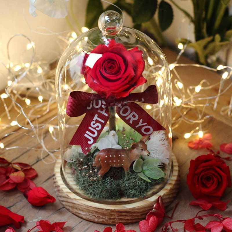 Červená Nesmrteľnosť Kvetina Ruža Lucerna Plavé Sklenený Obal Ornament Valentínsky Kvetinový Darček K Narodeninám Alebo Výročiu Pre Priateľku