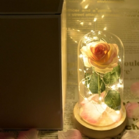 Lampa Šampanské Ruže S Led Rozprávkovou Strunou Osvetľujúcou Opadané Okvetné Lístky A Abs Základňou V Sklenenej Kupole Romantické Darčeky Na Valentína