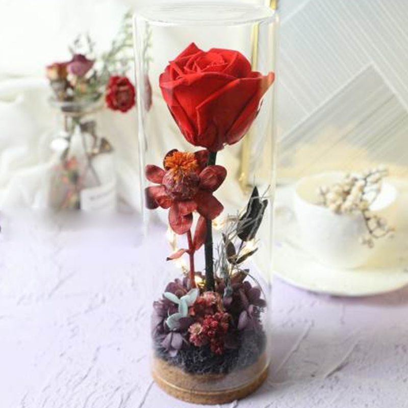 Sklenená Fľaša Večná Ruža S Led Svetlom Zachovalý Skutočný Kvet Romantický Darček Pre Milenca Valentínske Výročie Svadby