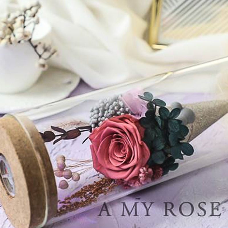 Sklenená Fľaša Večná Ruža S Led Svetlom Zachovalý Skutočný Kvet Romantický Darček Pre Milenca Valentínske Výročie Svadby