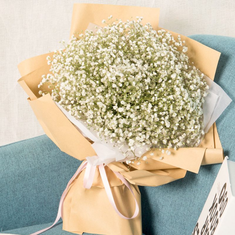 Umelá Kvetina Babysbreath Svadobná Párty Výzdoba Domova Kytica Baby's Breath Sušené Kvety Na Valentína