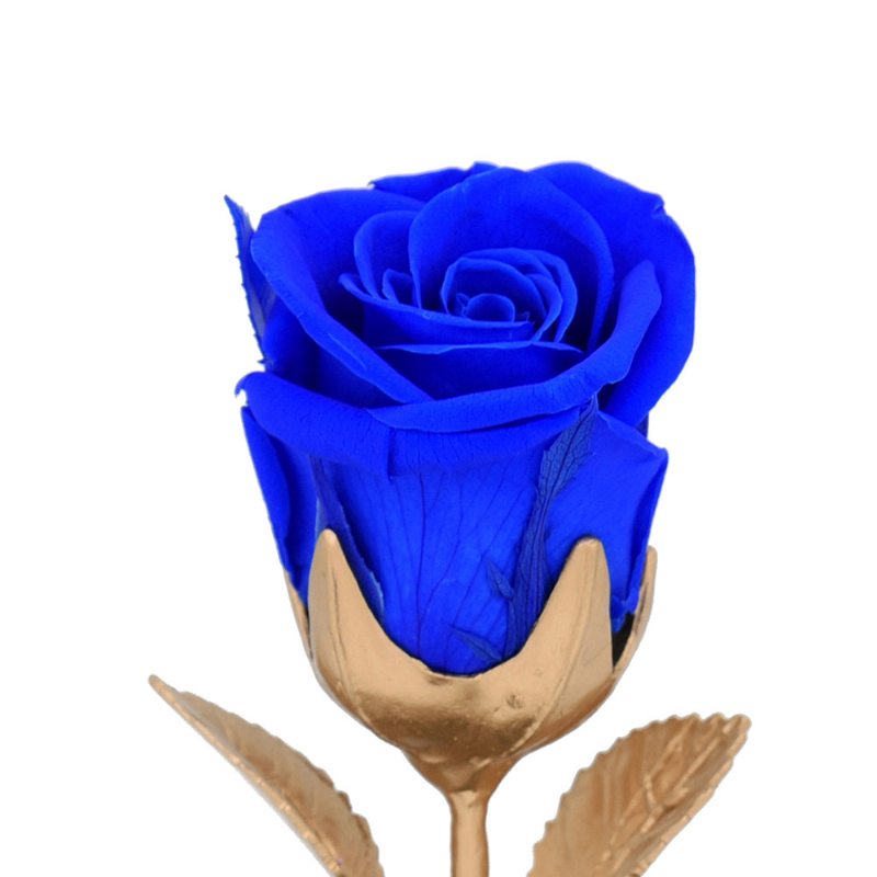 Večné Kvety Hodvábna Ruža Otočná Hracia Skrinka So Sklom Pre Manželku Milenca Priateľka Svadobné Výročie Darček K Narodeninám