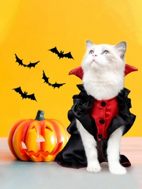 Halloween Pet Vampire Transform Do Cat Simulation Spoof Clothes Vianočné Vtipné Oblečenie Pre Mačky