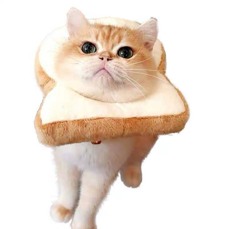 Nastaviteľný Obojok Elizabeth Golar Cat Toast Bread Pet Anti-smashing Ring Pre Mačky Anti-grab Bite