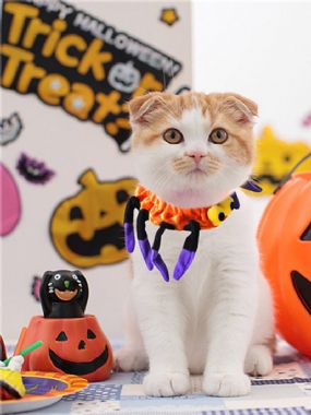 Pet Spider Golier Pes Mačka Šteňa Kitty Čiapka Halloween Potreby Pet Costuments