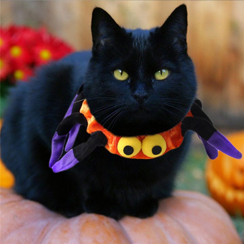 Pet Spider Golier Pes Mačka Šteňa Kitty Čiapka Halloween Potreby Pet Costuments