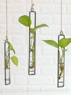 Kreatívna Železná Sklenená Váza Dekorácie Na Stenu Do Obývacej Izby Rozprašovač Vody Zelená Nádoba Na Zeleninu