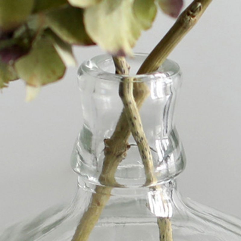 Minimalistická Priehľadná Váza Na Kvety Malý Kaliber Veľké Telo Dekorácia Stola Do Domácnosti Ornament Sklenená Fľaša