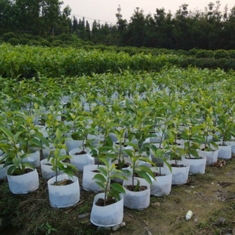10 Ks Netkané Okrúhle Látkové Kvetináče Vrecko Na Rastliny Koreňová Nádoba Grow Bag Prevzdušňovacia