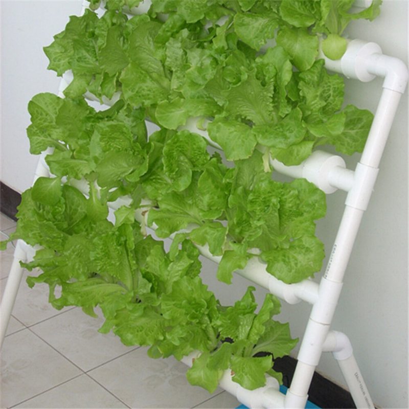 36-diery-4-vrstvy-horizontálne-hydroponické-rastúce-súprava-záhrada-rastlina-zelenina-výsadba Grow Box