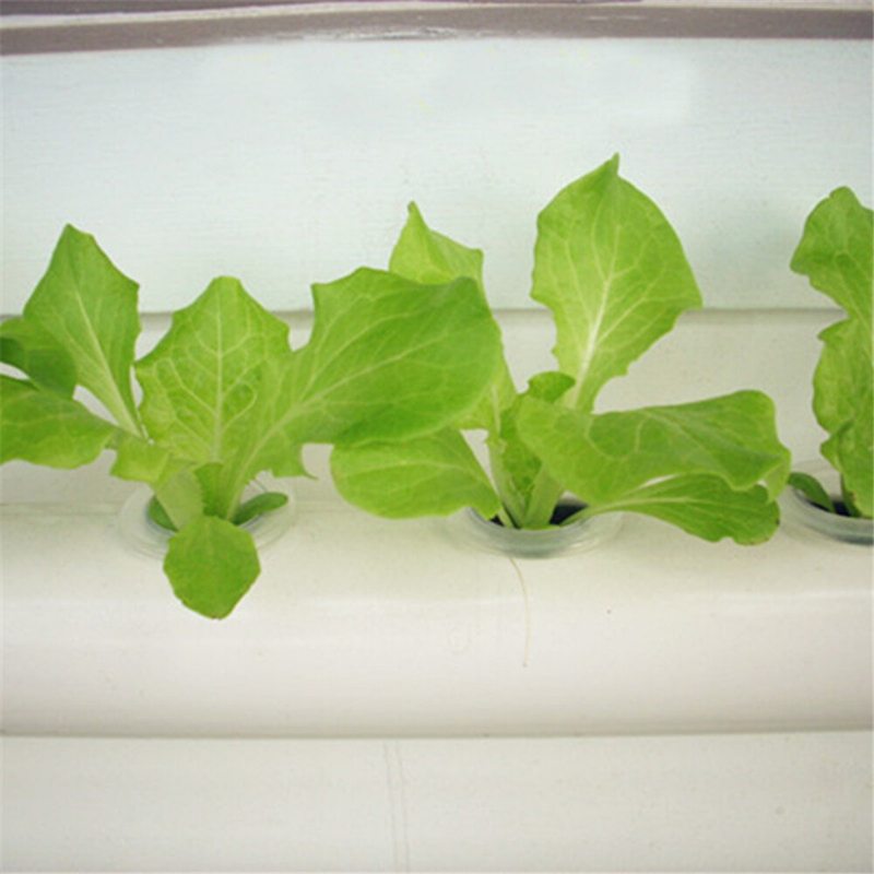 36-diery-4-vrstvy-horizontálne-hydroponické-rastúce-súprava-záhrada-rastlina-zelenina-výsadba Grow Box