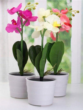 3led Solárne Napájaný Phalaenopsis Kvetinový Kolík Záhradný Dvor Svetlá Krajina Vonkajšia Dekorácia