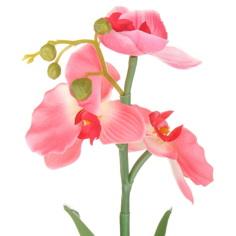 3led Solárne Napájaný Phalaenopsis Kvetinový Kolík Záhradný Dvor Svetlá Krajina Vonkajšia Dekorácia