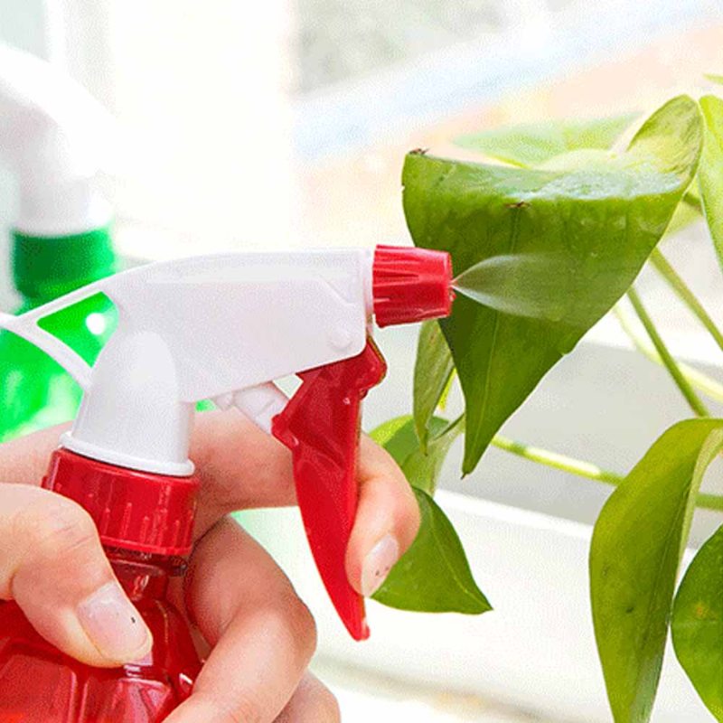 Ručne Lisovaná Malá Plastová Fľaša S Rozprašovačom Pre Domácu Školskú Kanceláriu Candy Color Záhradkárska Kanva
