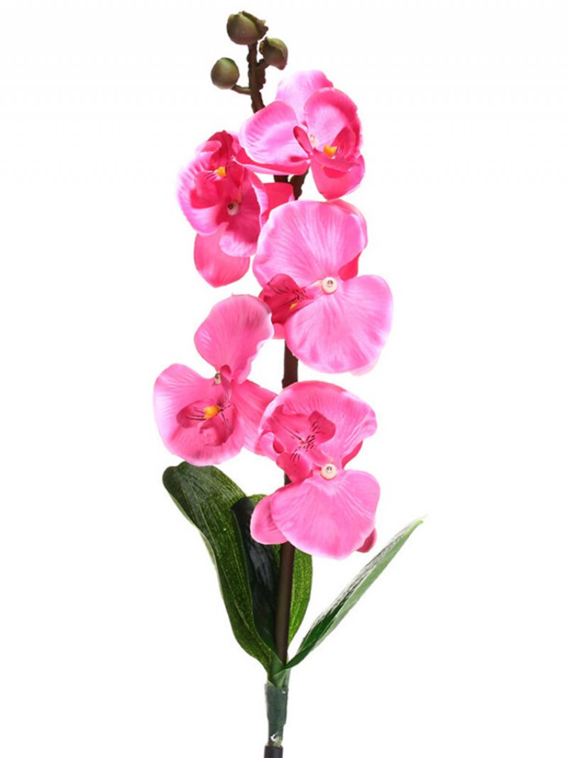 Solárna Energia Phalaenopsis Záhradný Kolík Krajinná Lampa Butterfly Orchid Vonkajšie Svetlo Na Dvor