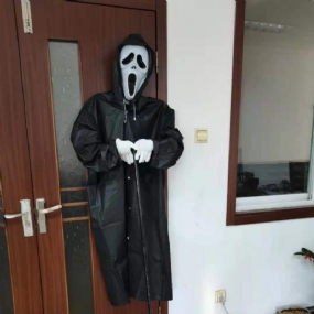 Krik Straší Vrana Halloween Kričí Strašiak Lieta Vo Vetre Lebka Strašidelný Duch Dekorácie