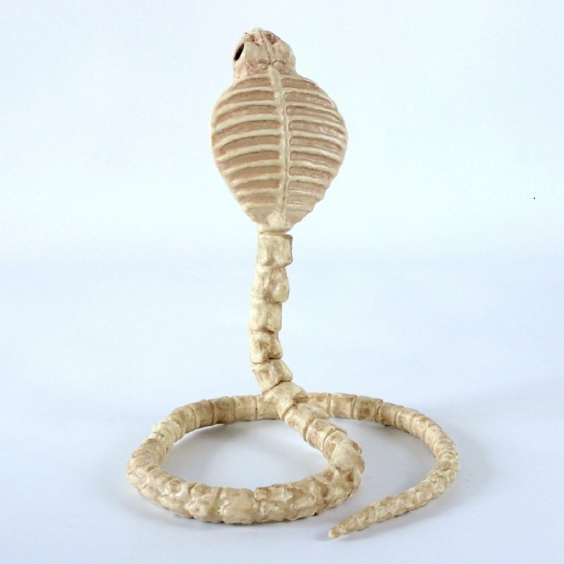 Skeleton Cobra Snake Bone Haunted House Dekorácia Ohýbateľné Telo