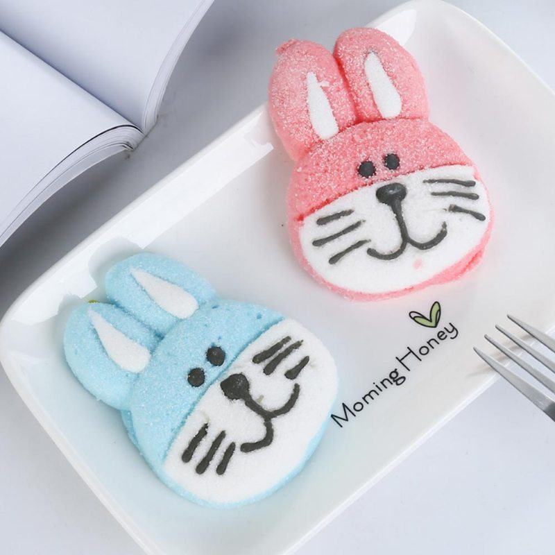 Marshmallow V Tvare Králika Pre Priateľku Ako Darček K Narodeninám Kreatívna Králičia Cukrová Vata Pár Ako Rabbit Candy Floss